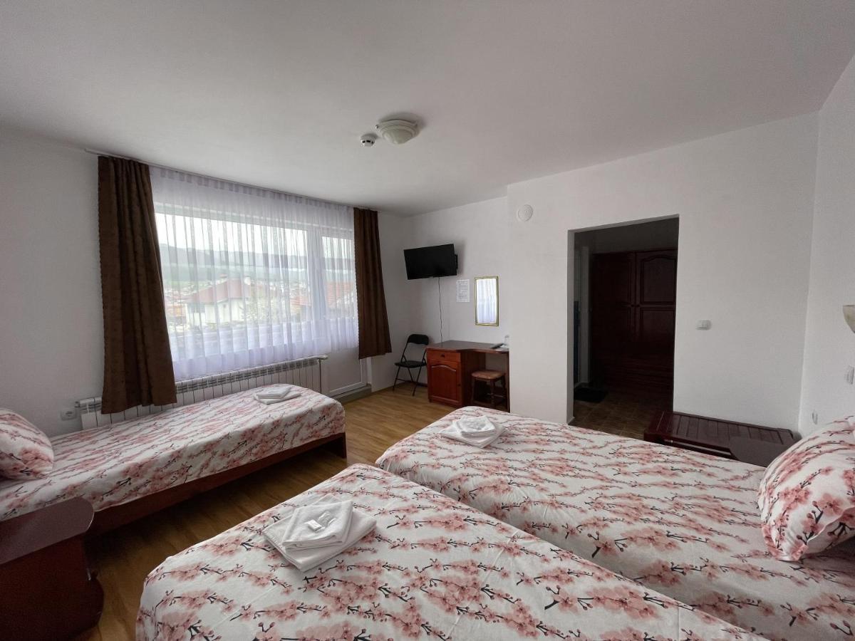 Family Hotel Panorama Sarnitsa Εξωτερικό φωτογραφία