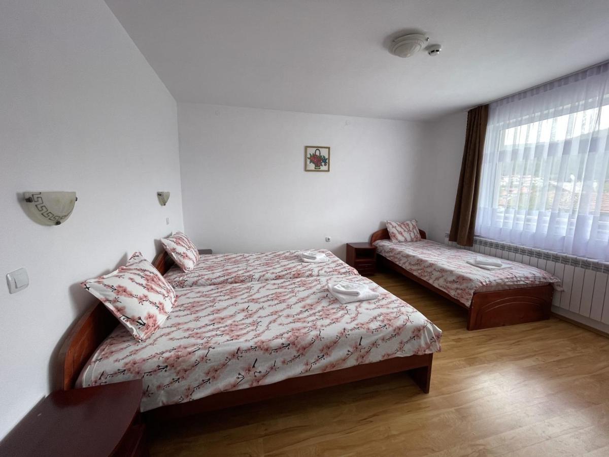 Family Hotel Panorama Sarnitsa Εξωτερικό φωτογραφία