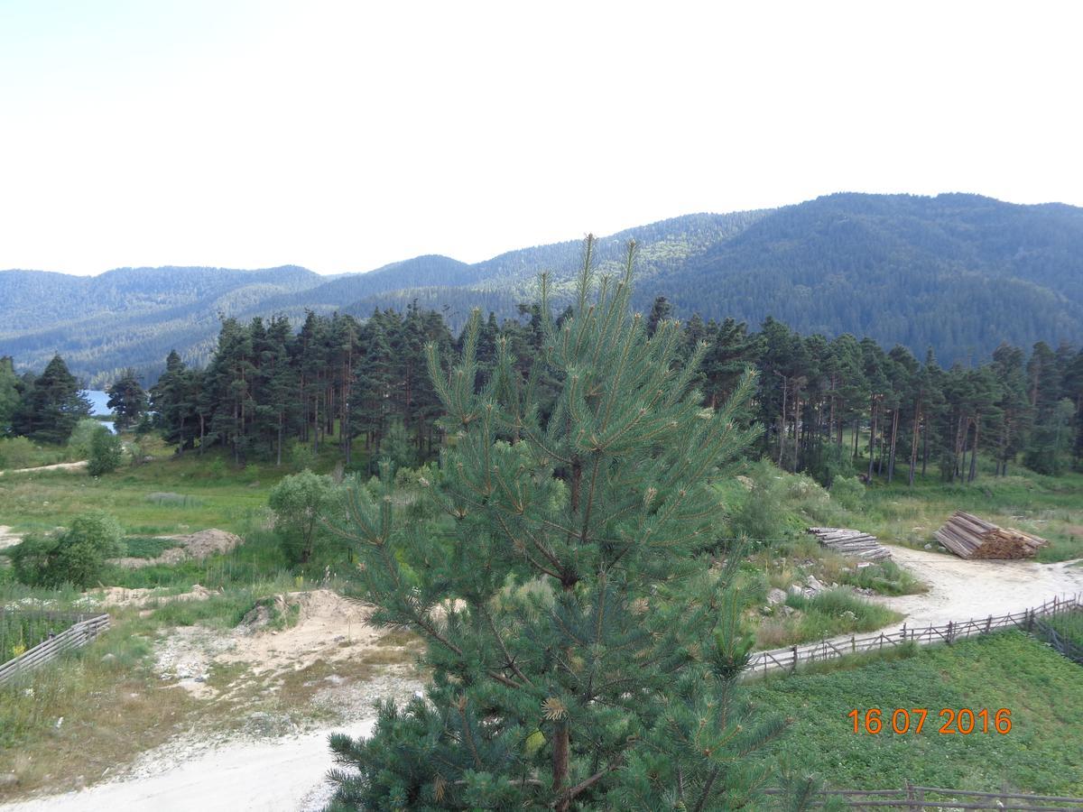 Family Hotel Panorama Sarnitsa Εξωτερικό φωτογραφία